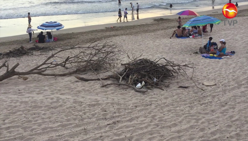 Arbustos y troncos secos regados en playas de Mazatlán