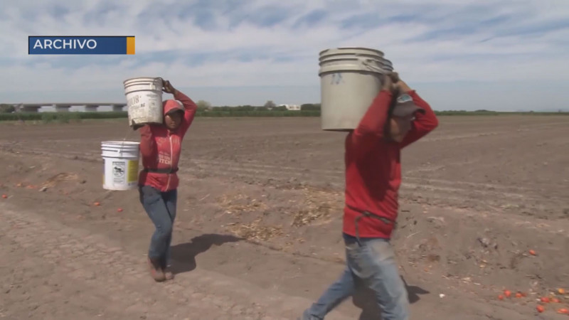 Se preparan los campos agrícolas para ofrecer educación en escuelas con estrictas medidas