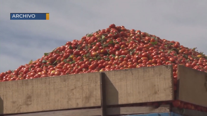 Inician campaña permanente de Sanidad Vegetal en la zona centro de Sinaloa