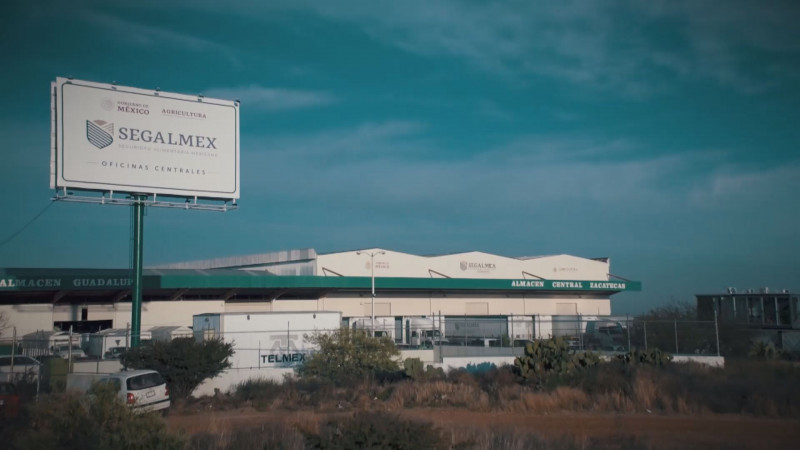 A causa de la falta de compra de coberturas, Segalmex busca eliminar apoyos a productores de Sinaloa
