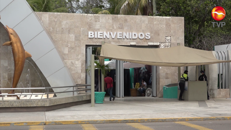 Negocian su liquidación trabajadores despedidos de Acuario Mazatlán