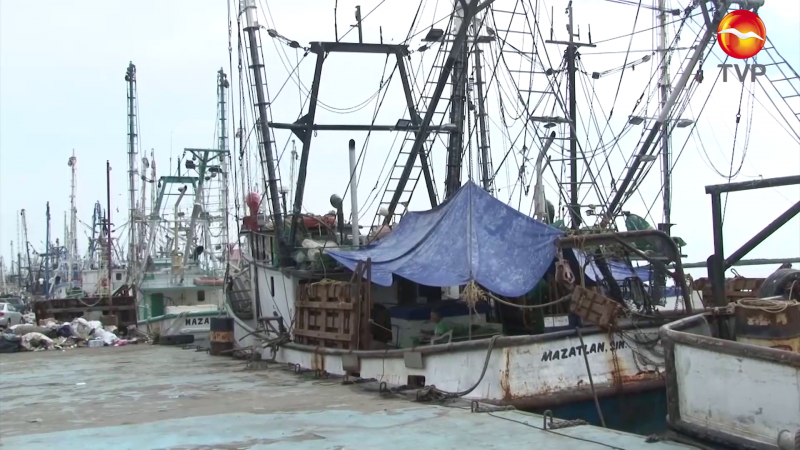Califican de insensible al Gobierno Federal ante la pesca