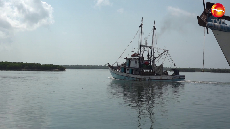 Mar revuelto por pesca ilegal no avizora buenas capturas