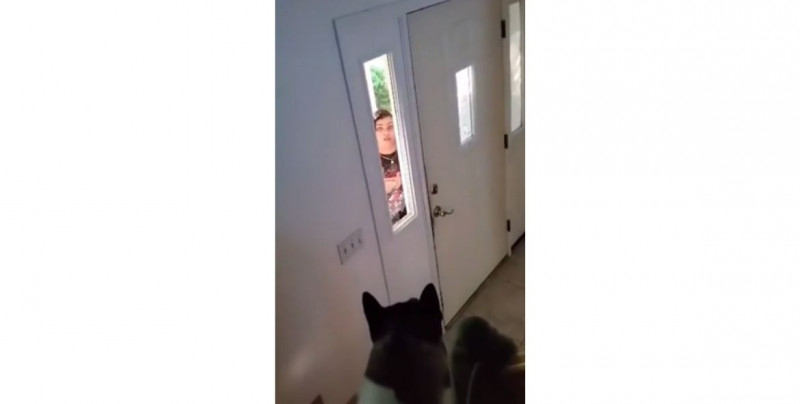 Video: vecinos cambian su clave de wifi y ella se indigna y amenaza con matar a su perro si no le dan la nueva