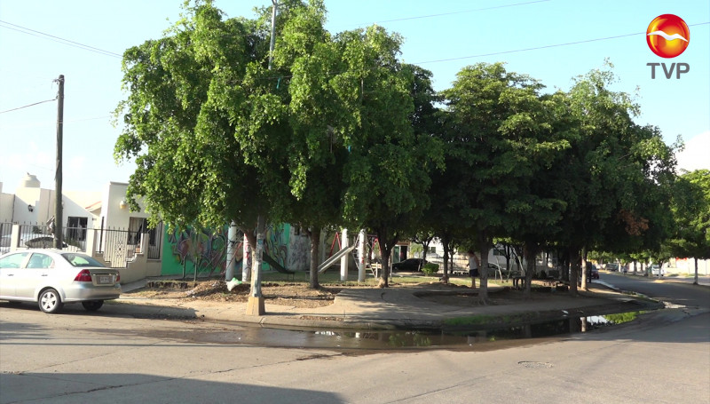 Urge rehabilitación de alumbrado público en el Fraccionamiento Los Sauces