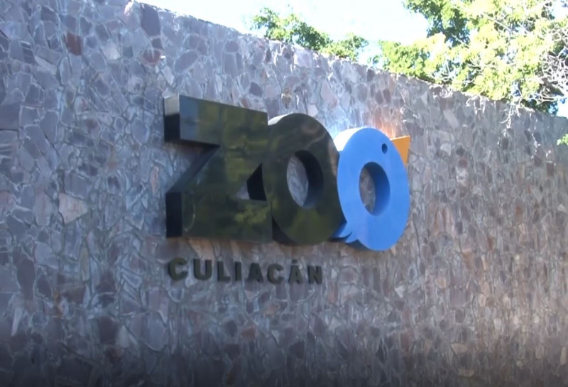 Se incrementan las visitas al zoológico de Culiacán, es un área de recreo