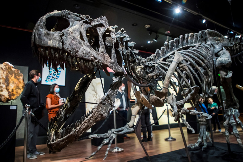 Adjudicado por 3 millones de euros un esqueleto de alosaurio en París