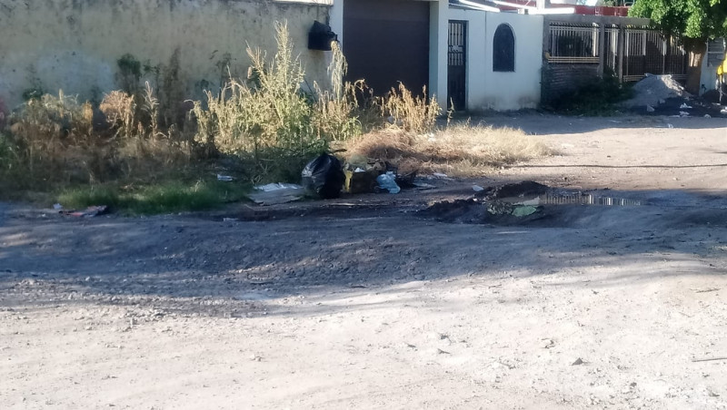 Con maleza y basura la calle Adolfo Ruiz Cortines de la colonia CNOP