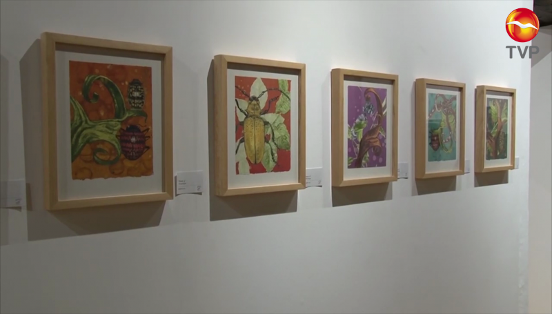 El 6 de Noviembre inicia el ArtWallk