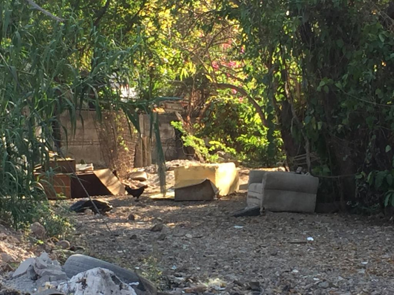 Arroyo por la Matías Rodríguez necesita ser limpiado