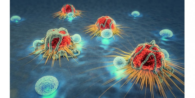 Crean vacuna experimental que reconoce células tumorales, clave en lucha contra el cáncer