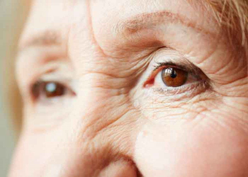 Nuevo tratamiento para revertir la pérdida de visión por envejecimiento