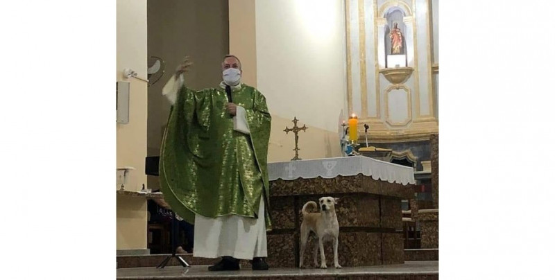 Este sacerdote lleva perros callejeros a misa para que los fieles los adopten