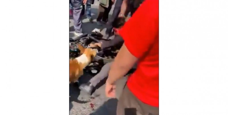 Video: hasta el perro se sumó a la golpiza que le dieron a este ladrón del Estado de México