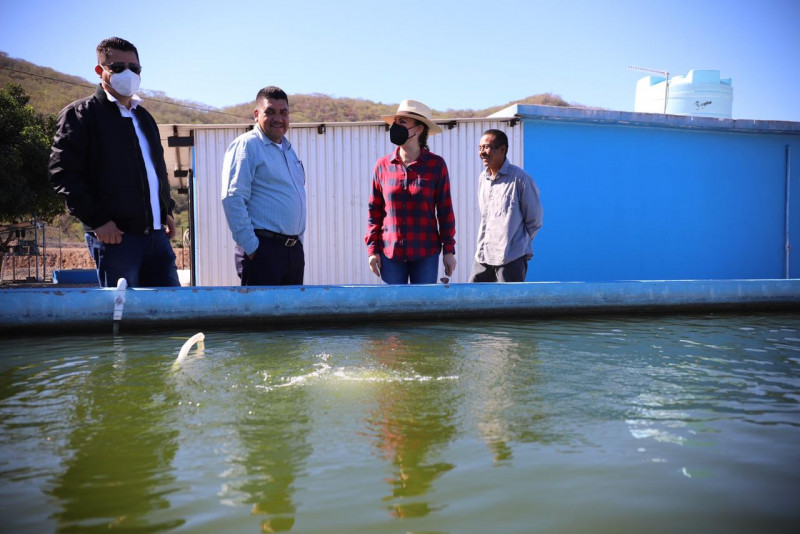 Trabajan en la estructuración de los proyectos de pesca
