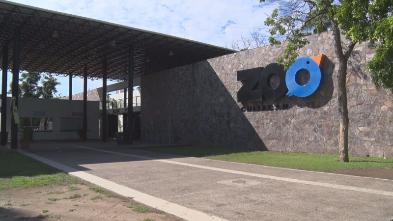 Zoológico de Culiacán será centro de acopio de árboles de navidad