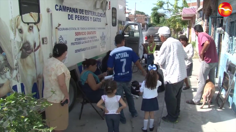Alistan jornada de bienestar animal en Mazatlán