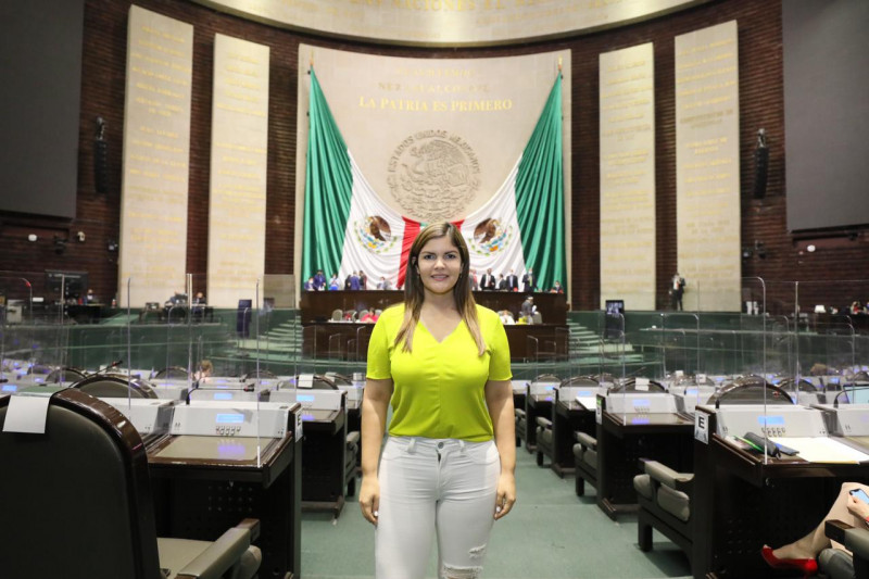 Merary Villegas pide licencia en el Congreso de la Unión