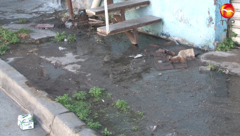 “Brota” una fuga de agua potable en la Colonia Benito Juárez