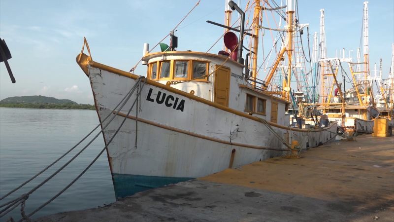 Se amarra la flota pesquera a una semana del inicio de la veda del camarón