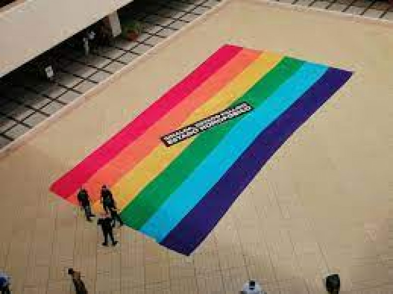 Partidos políticos deben postular al menos una persona de la diversidad sexual para diputados