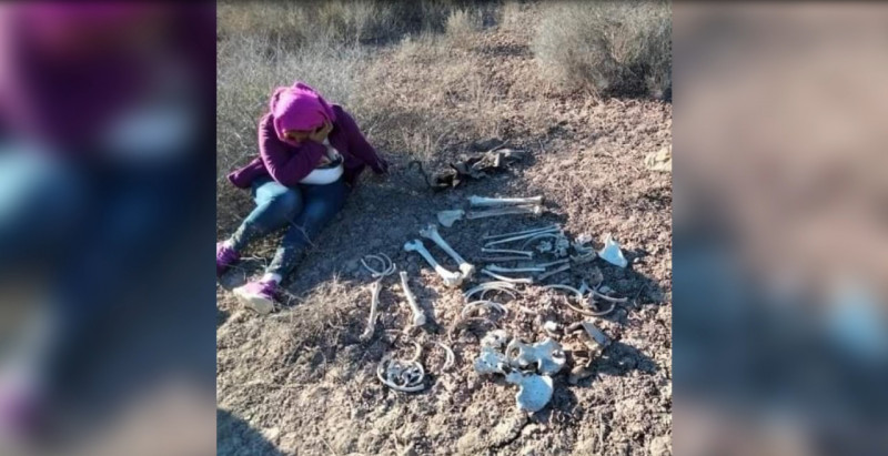 Descartan estudios de ADN que restos óseos fueran de hijo de líder de colectivo