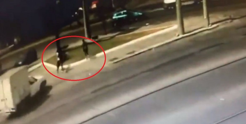 Automovilista de Guadalajara persigue y mata a dos hombres que momentos antes le asaltaron (video)