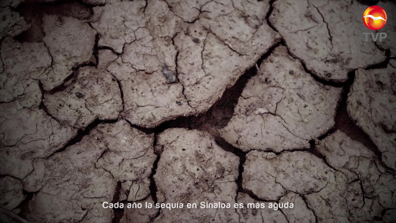 Experimenta Sinaloa la peor sequía en 58 años