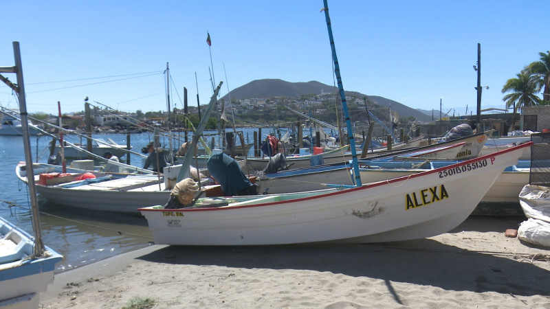 Apoyaran con motores marinos a pescadores de Sinaloa