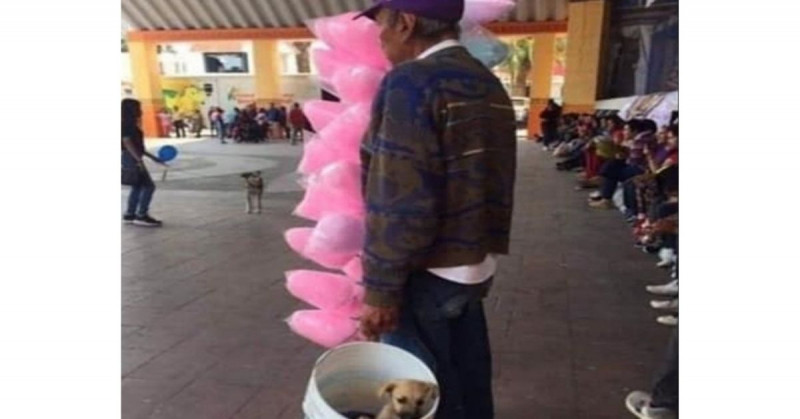 Abuelito conmueve por llevar consigo a su perro a vender algodón de azúcar