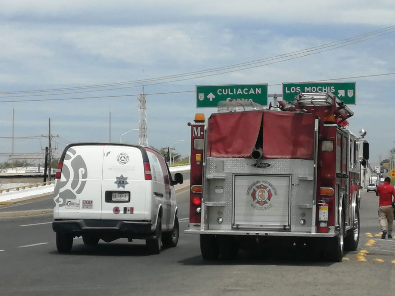 Muere menor tras ataque de abejas