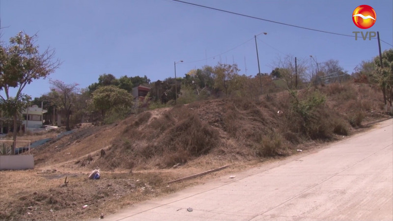 Piden inventario actualizado de áreas verdes en Mazatlán