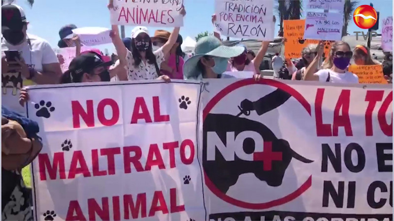 Denuncian realización de corrida de toros y peleas de gallos en Mazatlán