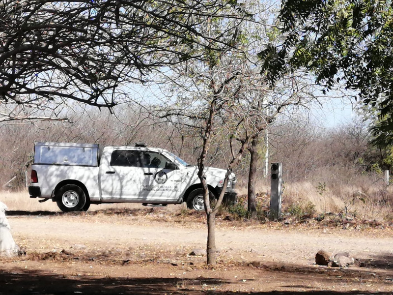 Encuentran craneo humano