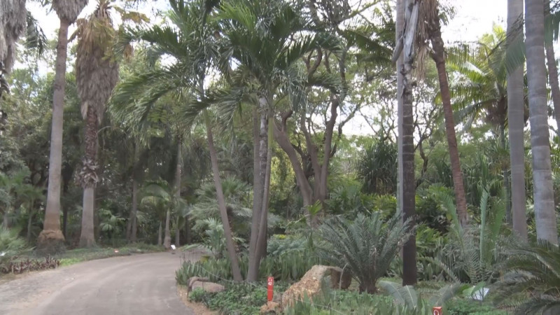 Habrá ruta nueva para recorrer el Jardín Botánico