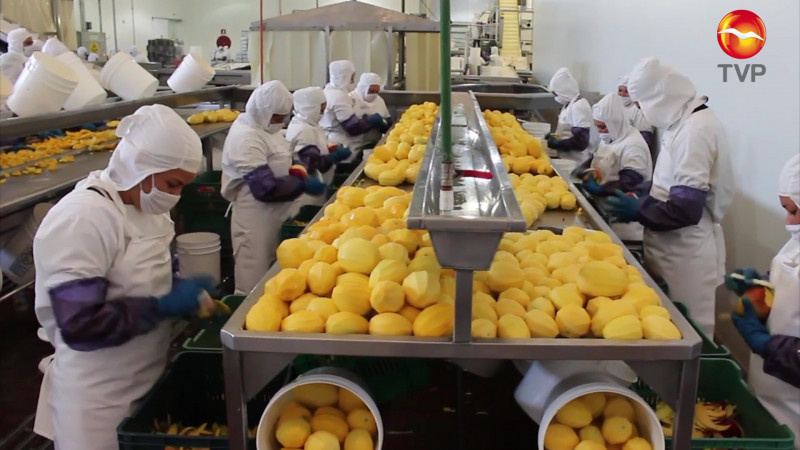 Persiste afectación por pandemia en exportaciones