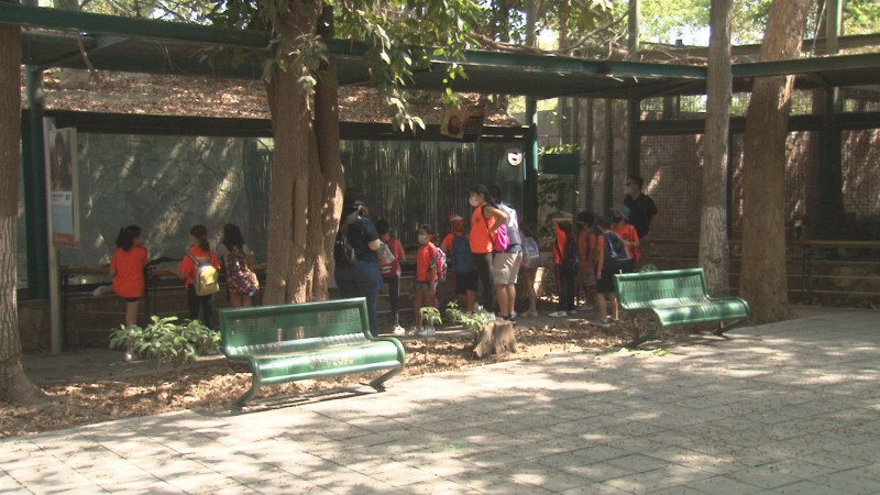 Con medidas de higiene en el zoológico realizan recorridos a los visitantes