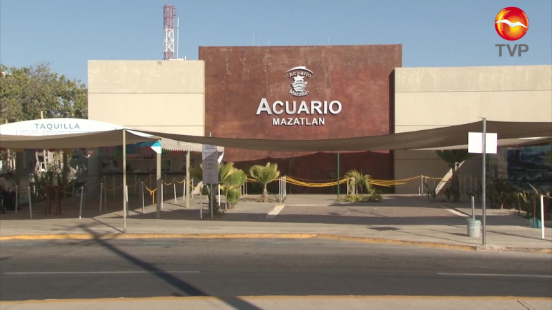 Hay 60 despidos pendientes en Acuario Mazatlán