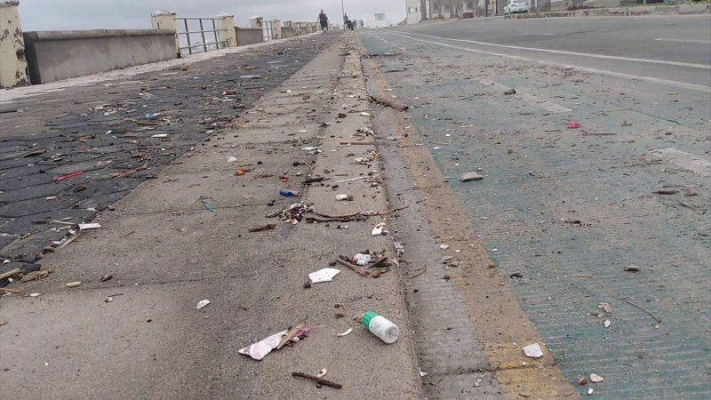 Regresa marea basura a los humanos