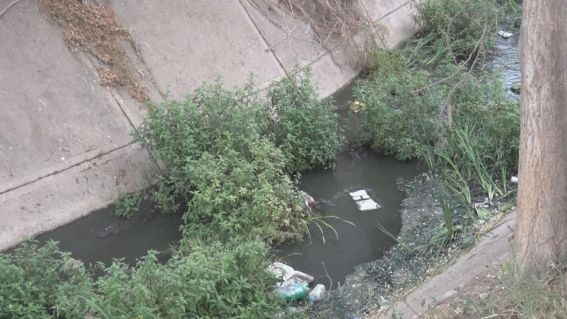 Fétidos olores por aguas negras en canal en la Amado Nervo