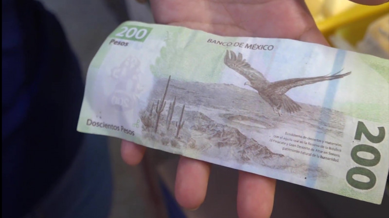 Con las vacaciones aumentan billetes falsos en Mazatlán