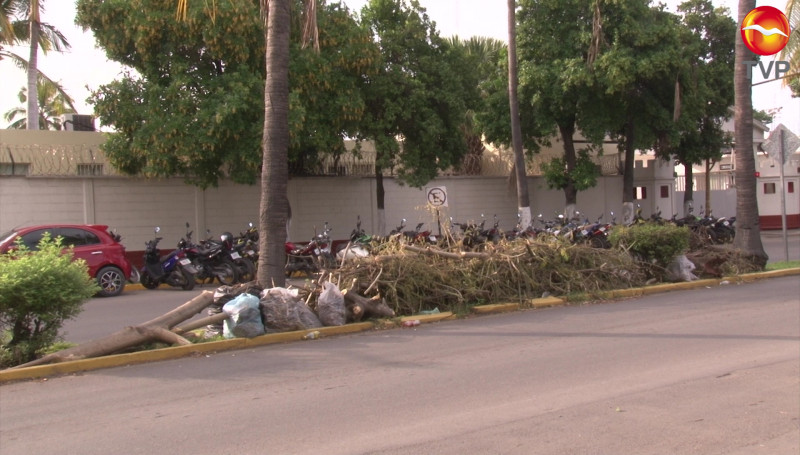 Usan camellón de la Avenida Emilio Barragán para tirar basura