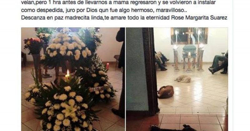 Margarita fue despedida por cuatro de los muchos perros callejeros que alimentó en vida