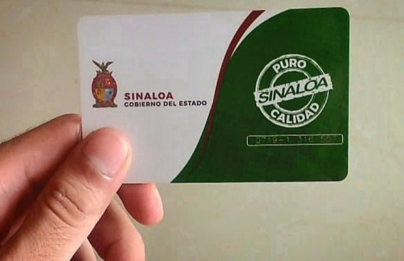 Gobierno de Sinaloa  entregará  tarjeta de estudiante