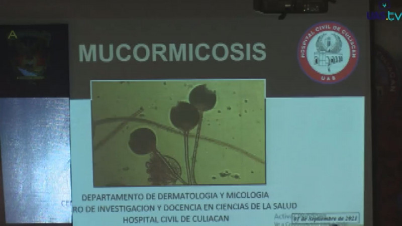 Llama Sector Salud a reportar casos de hongo negro