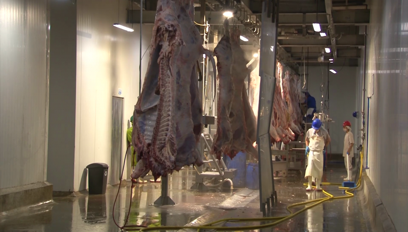 En Mazatlán ya podrán exportar carne, rastro obtiene certificación TIF