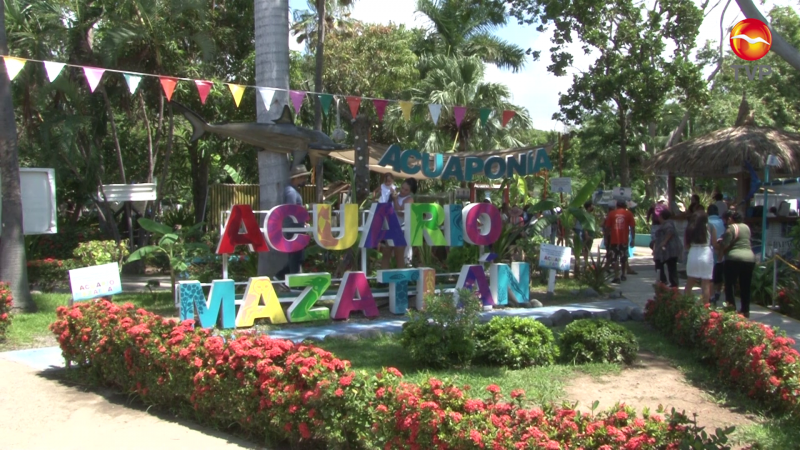 Se acerca el final del Acuario Mazatlán