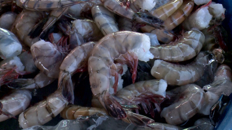 Aumentará precio del camarón: Changueras