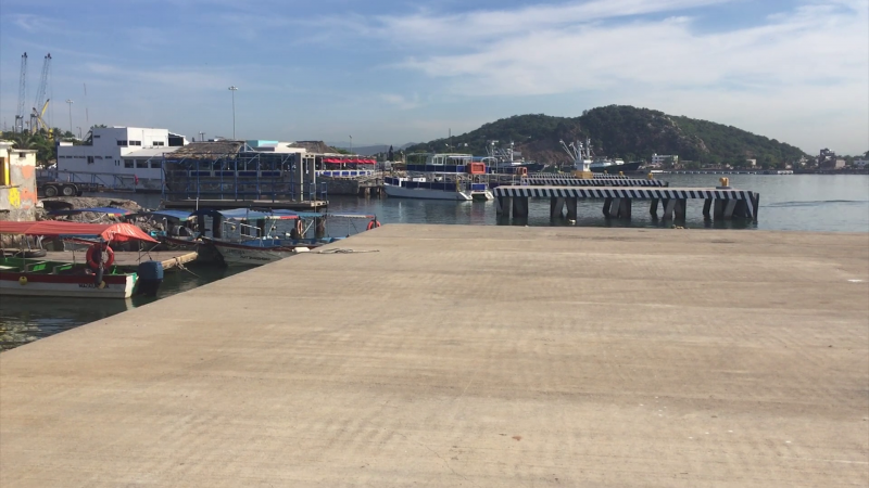 Nueva terminal portuaria con  inversión extranjera