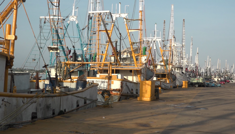 Sobrexplotación pesquera causará pobreza a los pescadores